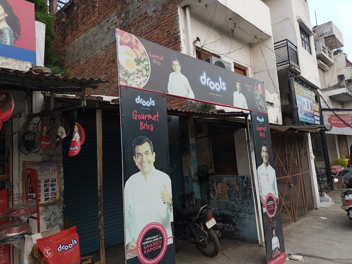 Alambagh Pet Shop