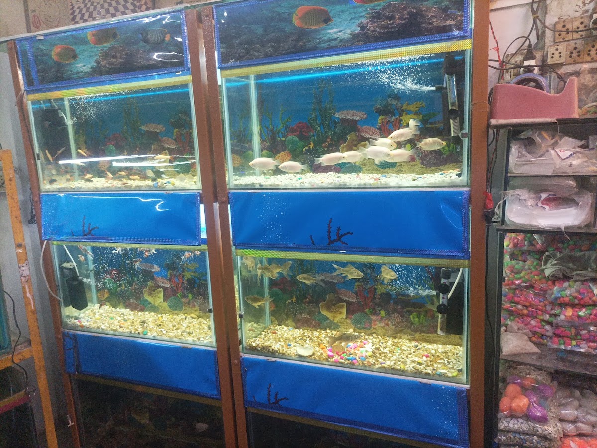 Calcutta Aquarium House