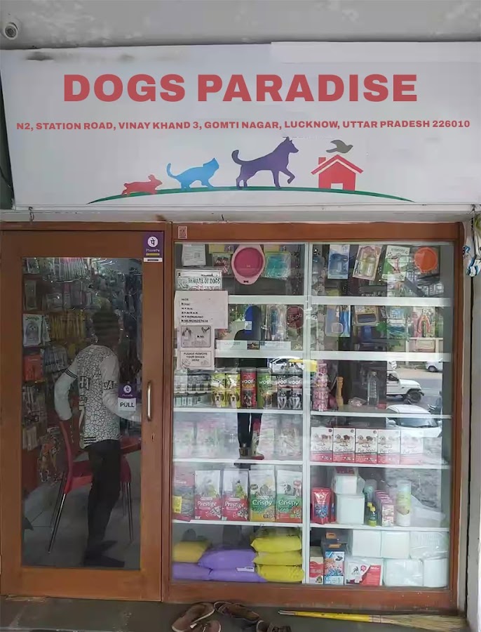 Dogs Paradise