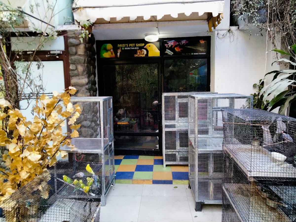 Faizi's Pet Shop