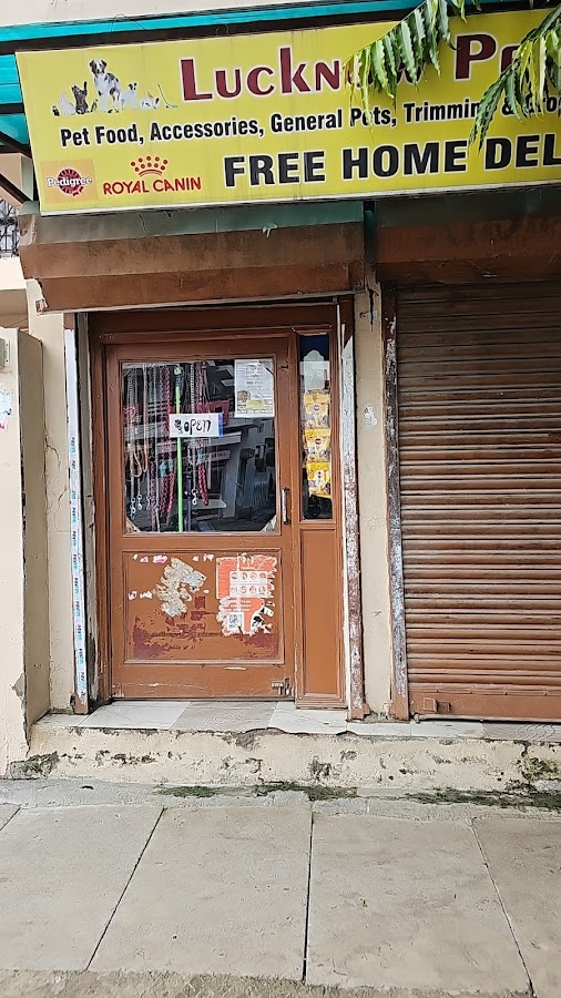 Lucknow Pet Shop