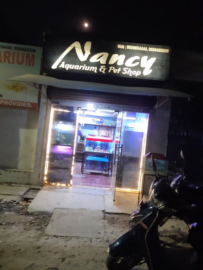 Nancy Fish Aquarium & Pet Shop