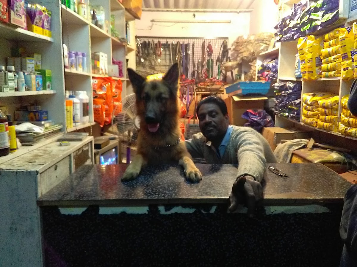 Pappu Pet Shop