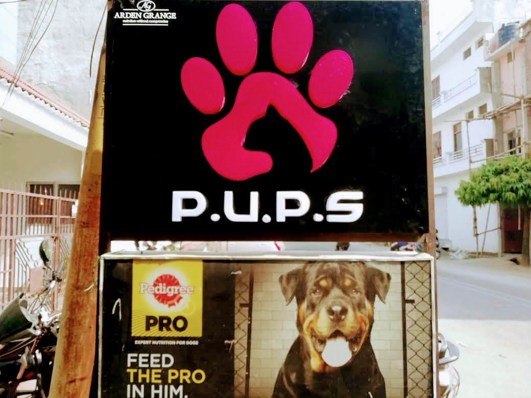Pups - Pet Care Store