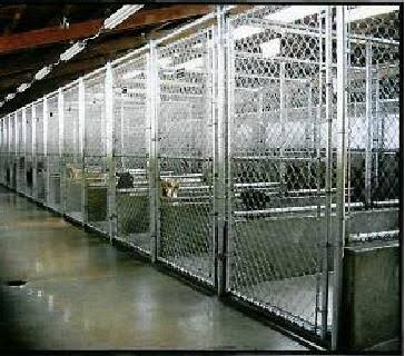 Ronit Pet Kennel