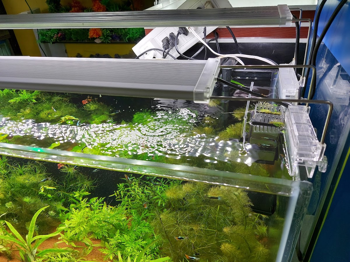 Sagar Aquarium
