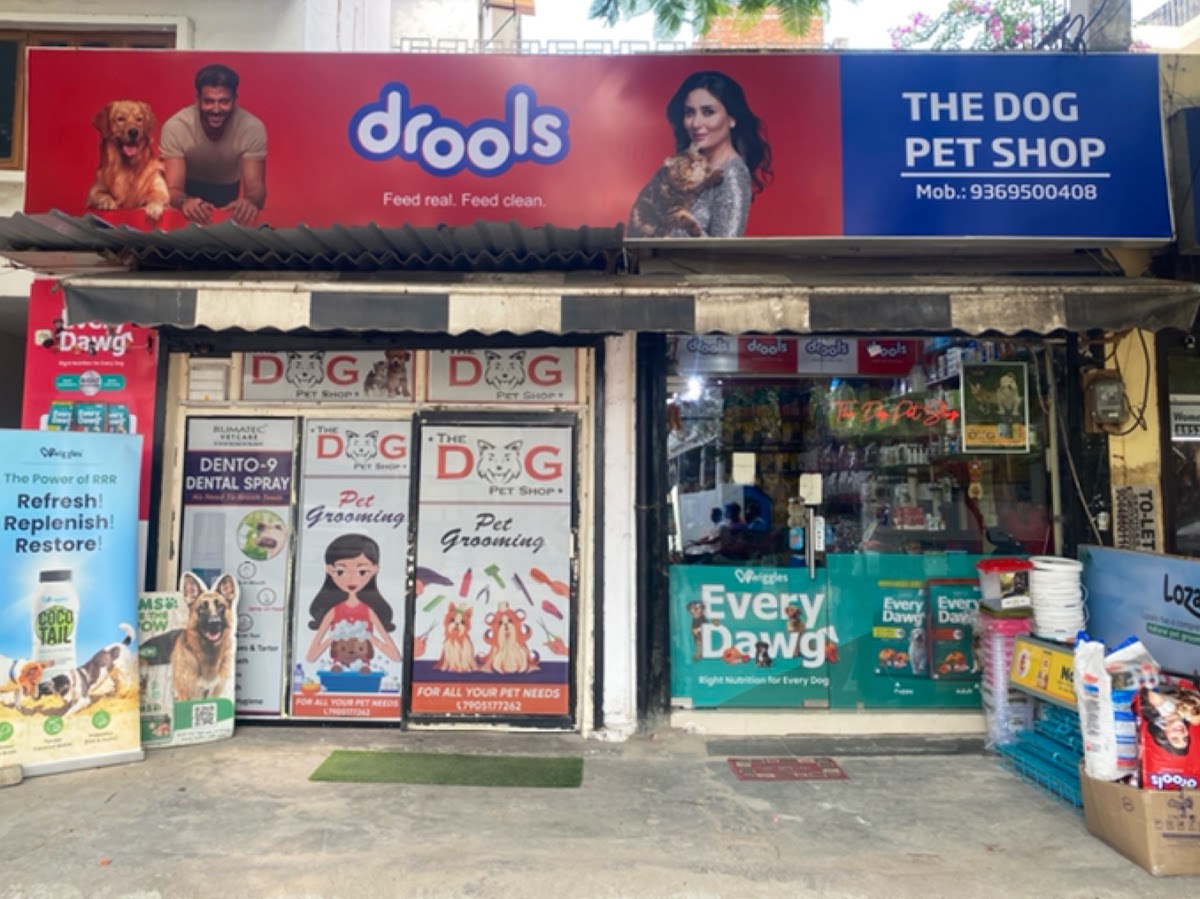 The Dog Pet Shop