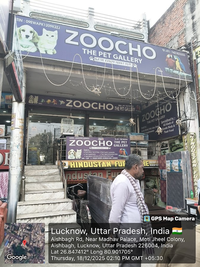 Zoocho The Pet Gallery