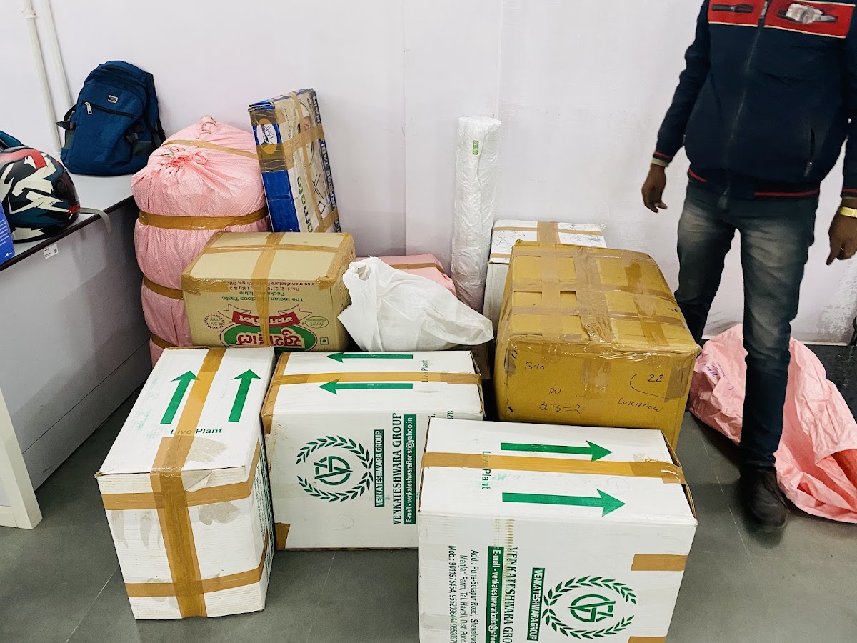 DTDC-International Courier Service