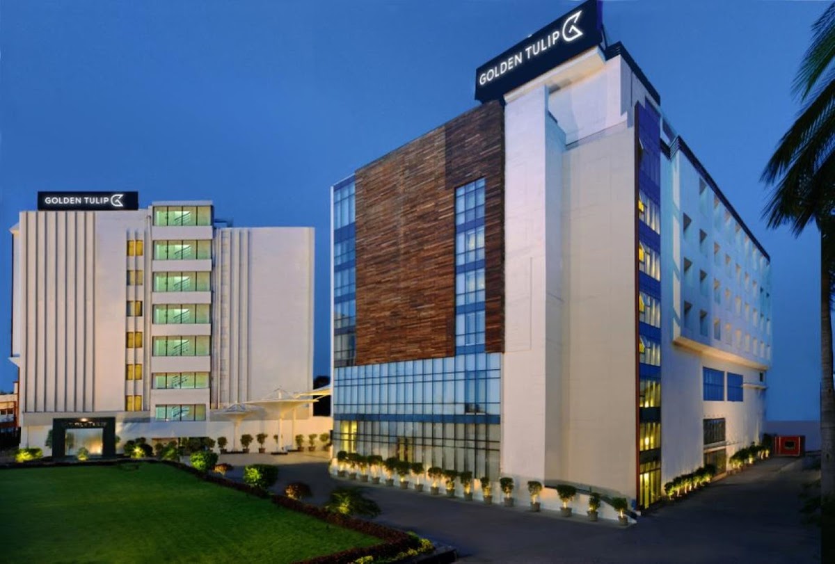 Golden Tulip