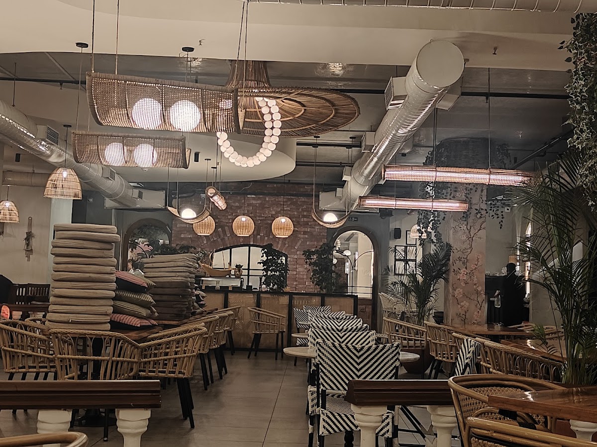 Sassy Canteen - Restaurant in Balmikinagar, 
