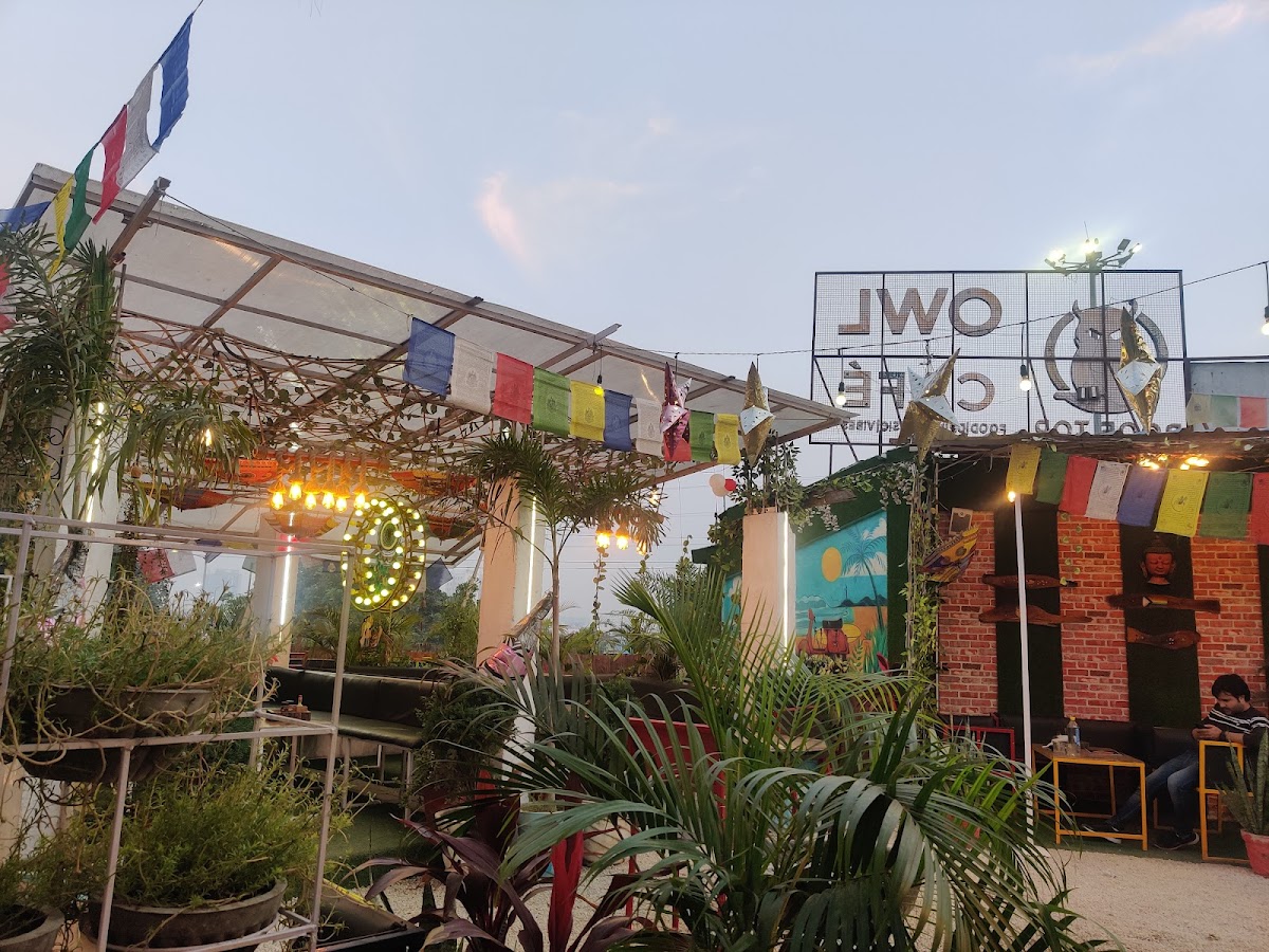 Owl Cafe - Cafe / Coffee Shop / Tea in Gomti Nagar, Lucknow