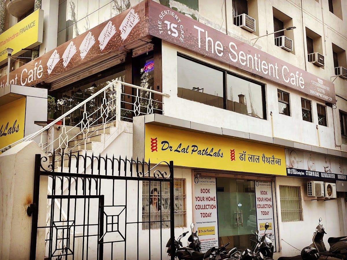 The Sentient Cafe - Cafe / Coffee Shop / Tea in Indira Nagar, Lucknow