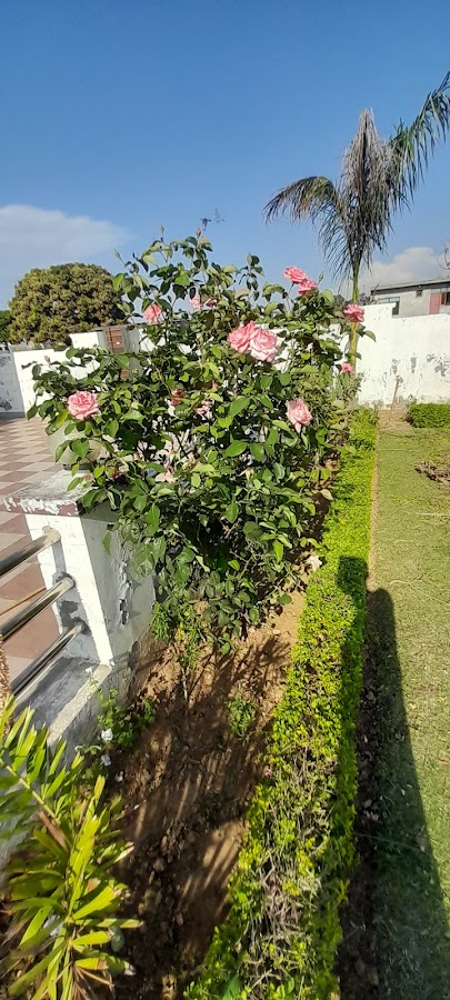 Mohd Nasim