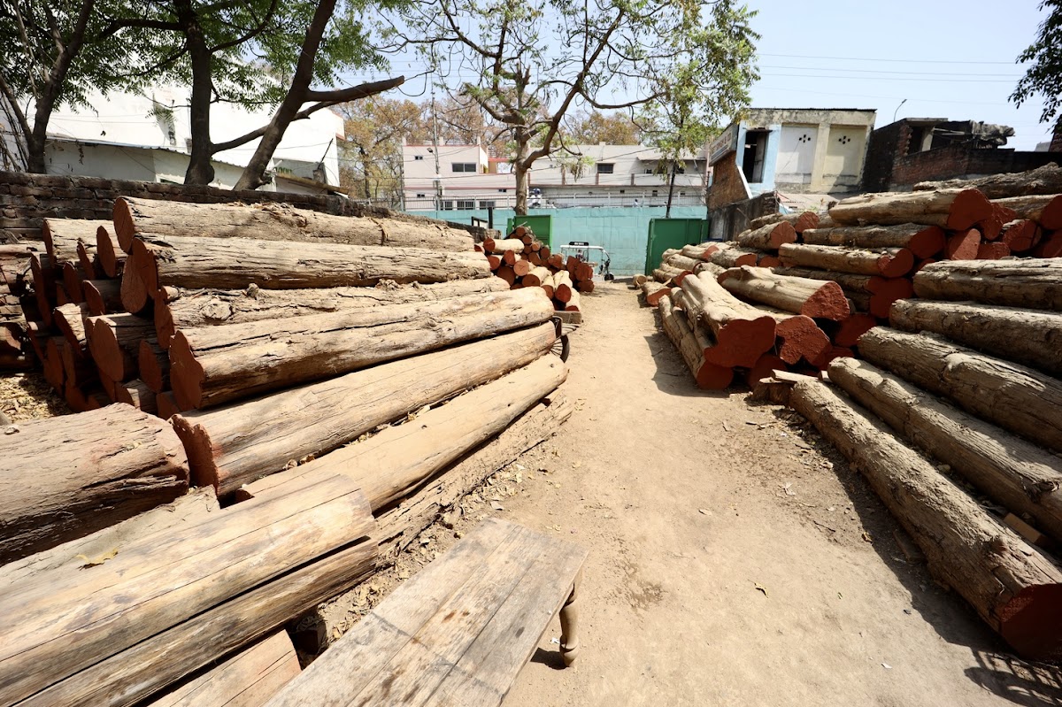 Ajeet Singh & Company (ASC Timber)