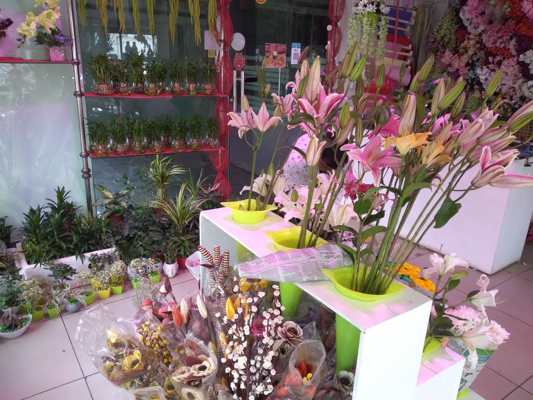 Flower Gallery