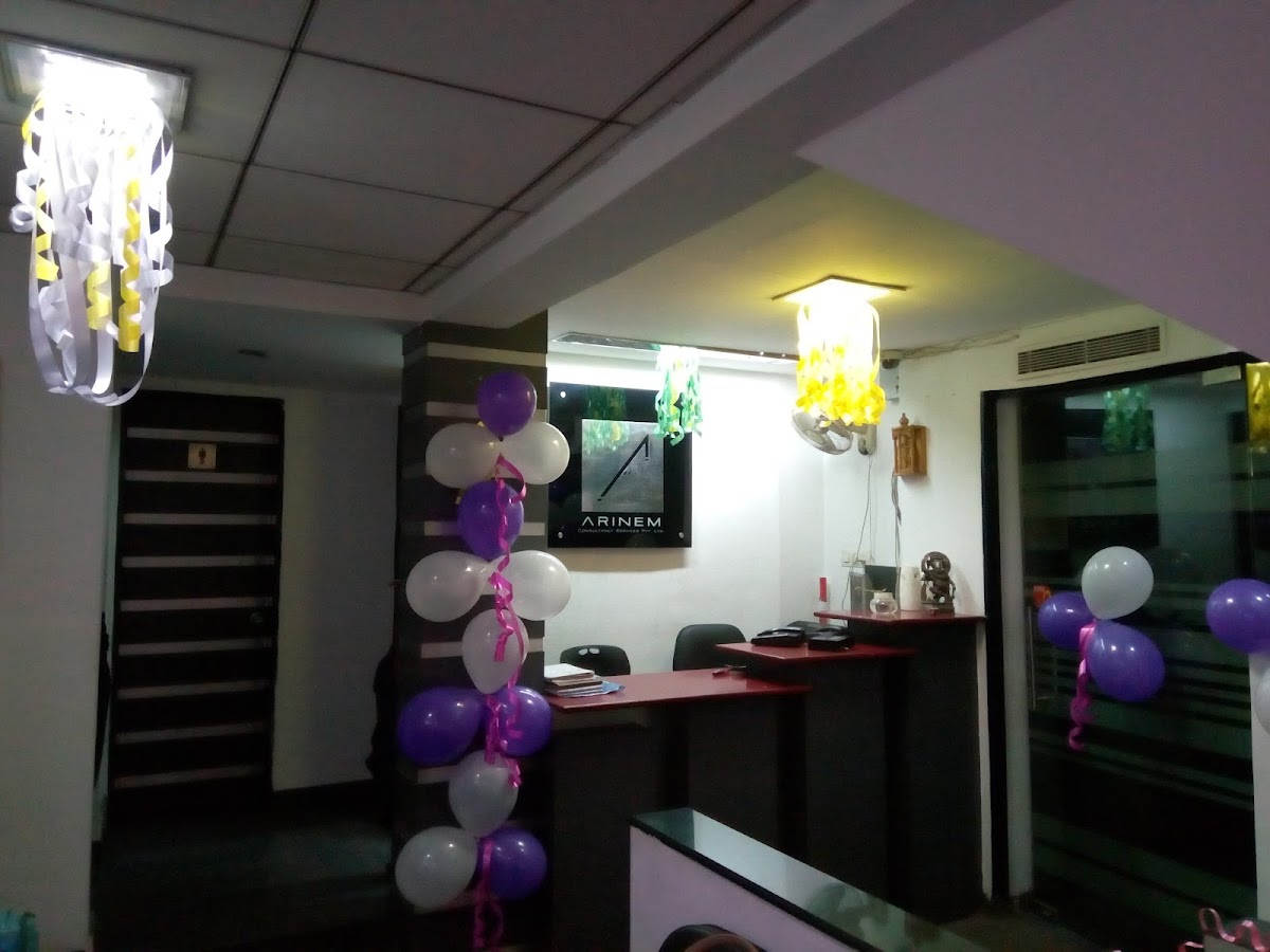 Arinem Consultancy Services