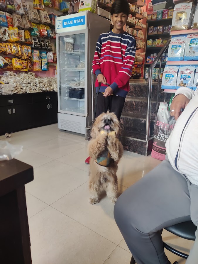 Pups Pet Care Store