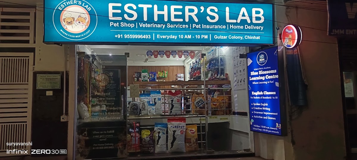 Esther's Lab