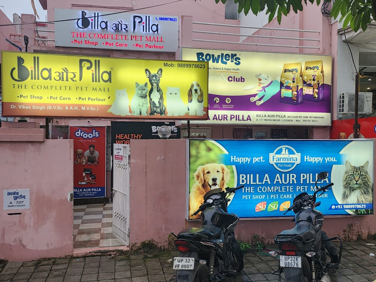 ‌‌‌‌‌Billa Aur Pilla