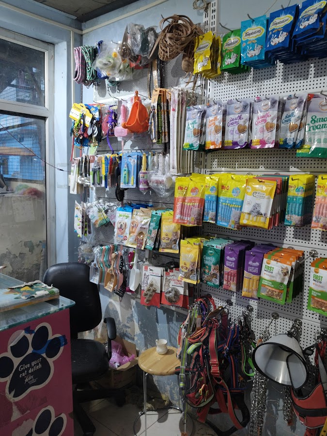 Cats & Dog Pet Shop - Pet Grooming in Kaiser Bagh, Lucknow