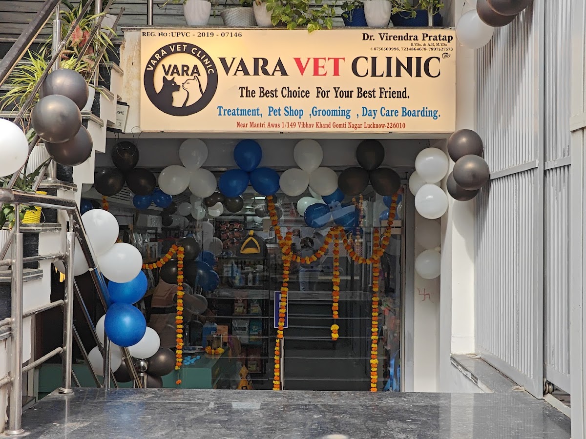 Vara Vet Clinic - Pet Grooming in Gomti Nagar, Lucknow