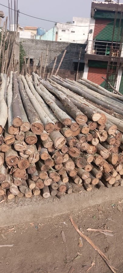 K. K. Timber Store - Timber in Kalyanpur (East), 