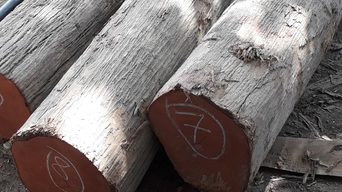 New R.K Timber & Traders - Timber in Chinhat, 